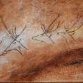 003 Deer swimming Lascaux