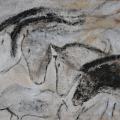 008 Horses and rhinoceros Chauvet