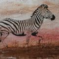024 Zebra on pink background