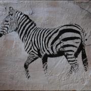 044 Zebra on old white wall